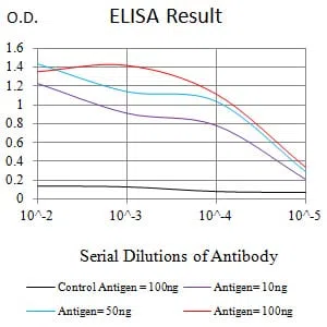MYC Mouse Monoclonal Antibody - Size: 100µl