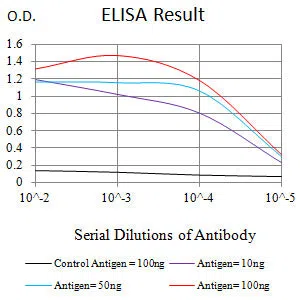 SOX11 Mouse Monoclonal Antibody - Size: 50µl