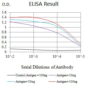 RRM1 Mouse Monoclonal Antibody - Size: 50µl