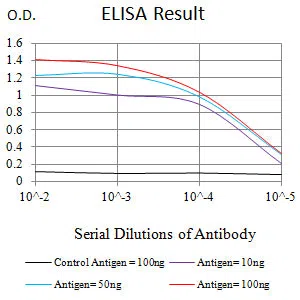 RRM1 Mouse Monoclonal Antibody - Size: 100µl