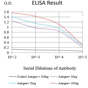 PAX2 Mouse Monoclonal Antibody - Size: 100µl