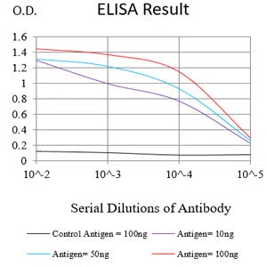 HAS1 Mouse Monoclonal Antibody - Size: 100µl