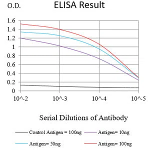 SAA1 Mouse Monoclonal Antibody - Size: 100µl