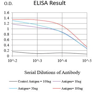 PAX8 Mouse Monoclonal Antibody - Size: 100µl