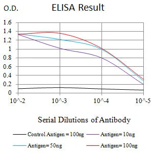 TET2 Mouse Monoclonal Antibody - Size: 100µl