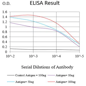PAX2 Mouse Monoclonal Antibody - Size: 50µl
