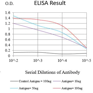 NCAM1 Mouse Monoclonal Antibody - Size: 100µl