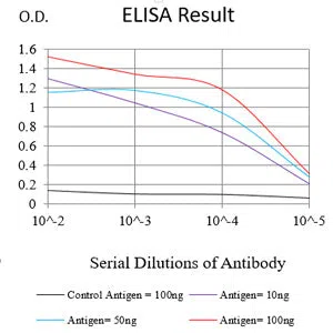 ADAM10 Mouse Monoclonal Antibody - Size: 50µl