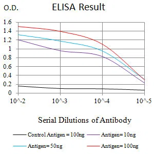 WT1 Mouse Monoclonal Antibody - Size: 100µl