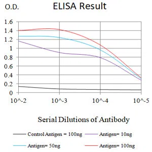 SP10 Mouse Monoclonal Antibody - Size: 100µl