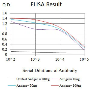 CD85G Mouse Monoclonal Antibody - Size: 100µl