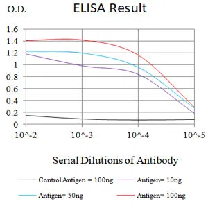 CD99 Mouse Monoclonal Antibody - Size: 100µl