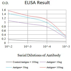 CHGA Mouse Monoclonal Antibody - Size: 50µl