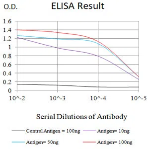 GLUL Mouse Monoclonal Antibody - Size: 50µl