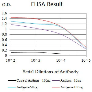 FLI1 Mouse Monoclonal Antibody - Size: 50µl