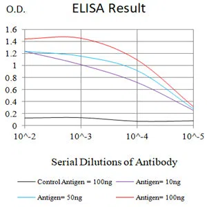 TNFRSF25 Mouse Monoclonal Antibody - Size: 100µl