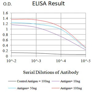 CD57 Mouse Monoclonal Antibody - Size: 50µl