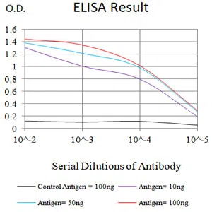 CLDN6 Mouse Monoclonal Antibody - Size: 100µl