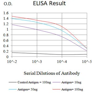 TP63 Mouse Monoclonal Antibody - Size: 50µl
