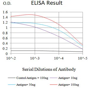CDX2 Mouse Monoclonal Antibody - Size: 50µl