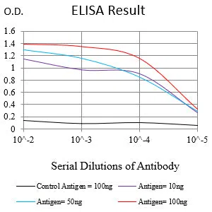 KRT13 Mouse Monoclonal Antibody - Size: 100µl