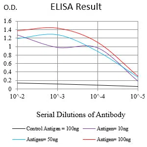 KRT13 Mouse Monoclonal Antibody - Size: 50µl