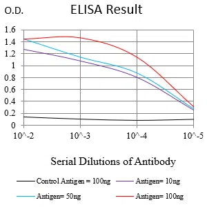 MSH6 Mouse Monoclonal Antibody - Size: 100µl