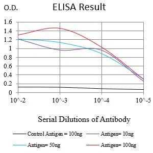 KRT6A Mouse Monoclonal Antibody - Size: 50µl