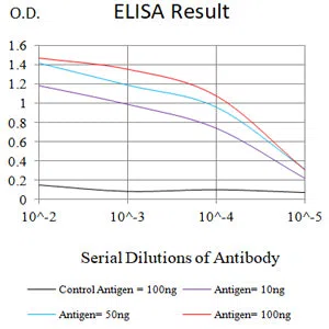 CD40 Mouse Monoclonal Antibody - Size: 100µl