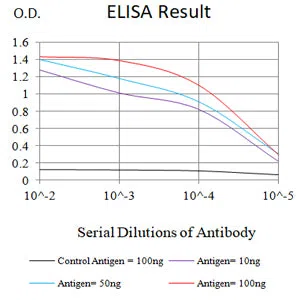 CD40 Mouse Monoclonal Antibody - Size: 100µl