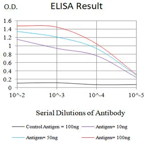 CXCL16 Mouse Monoclonal Antibody - Size: 50µl