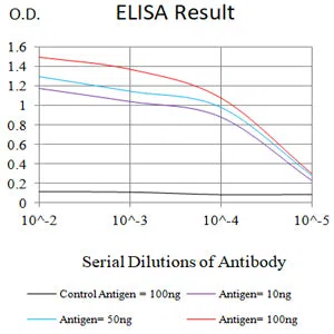CXCL16 Mouse Monoclonal Antibody - Size: 50µl