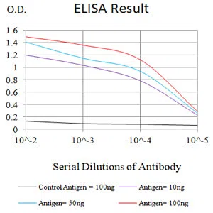 ARG1 Mouse Monoclonal Antibody - Size: 50µl