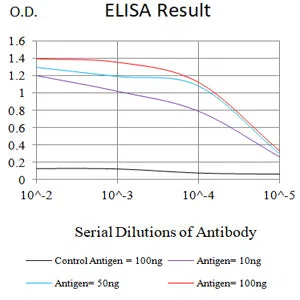 TUBA4A Mouse Monoclonal Antibody - Size: 100µl