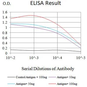 TUBA4A Mouse Monoclonal Antibody - Size: 50µl
