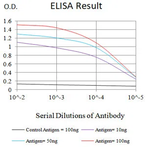 CD32B Mouse Monoclonal Antibody - Size: 50µl