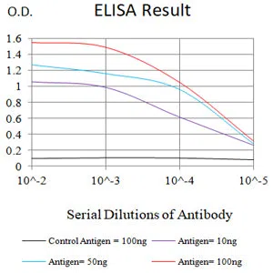 CD47 Mouse Monoclonal Antibody - Size: 50µl