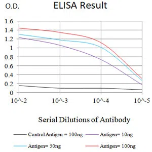 MSH2 Mouse Monoclonal Antibody - Size: 100µl