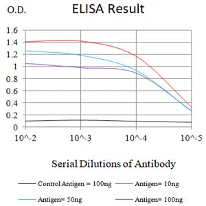 CX3CR1 Mouse Monoclonal Antibody - Size: 100µl