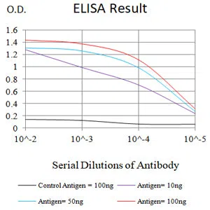 MR1 Mouse Monoclonal Antibody - Size: 100µl