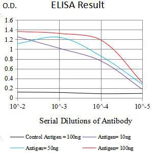 MICB Mouse Monoclonal Antibody - Size: 100µl