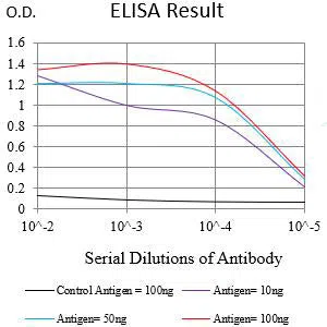 CD121B Mouse Monoclonal Antibody - Size: 100µl