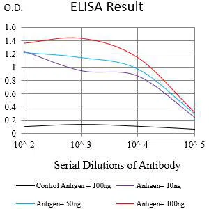 CD121B Mouse Monoclonal Antibody - Size: 100µl