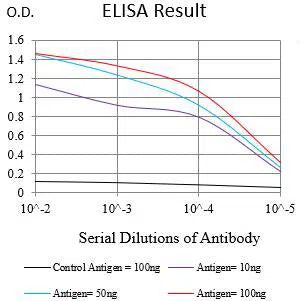 CD337 Mouse Monoclonal Antibody - Size: 100µl