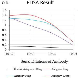 KRT15 Mouse Monoclonal Antibody - Size: 100µl