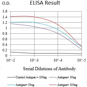 CD147 Mouse Monoclonal Antibody - Size: 50µl