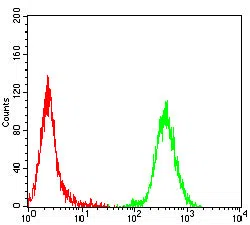 CD206 Mouse Monoclonal Antibody - Size: 100µl