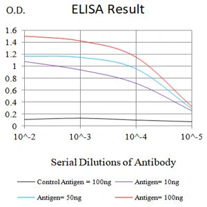 MSH2 Mouse Monoclonal Antibody - Size: 50µl