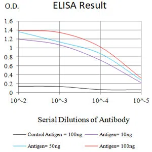 ARG1 Mouse Monoclonal Antibody - Size: 50µl