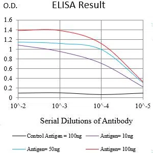 KRT9 Mouse Monoclonal Antibody - Size: 50µl